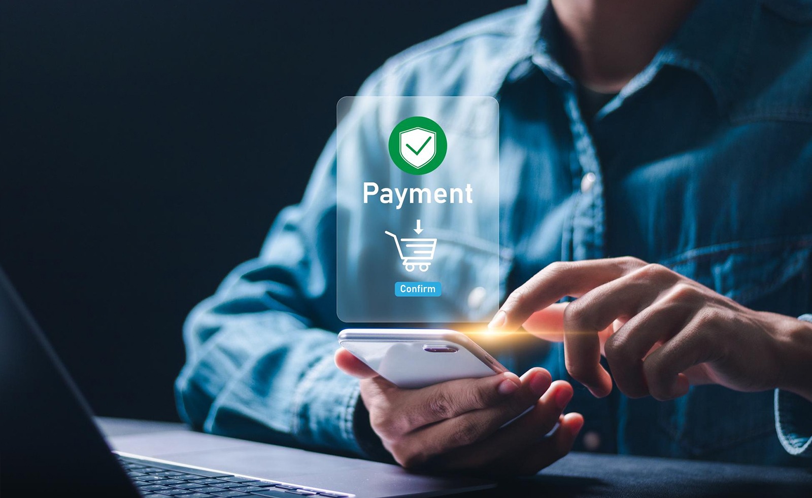 BBPS Software Interface